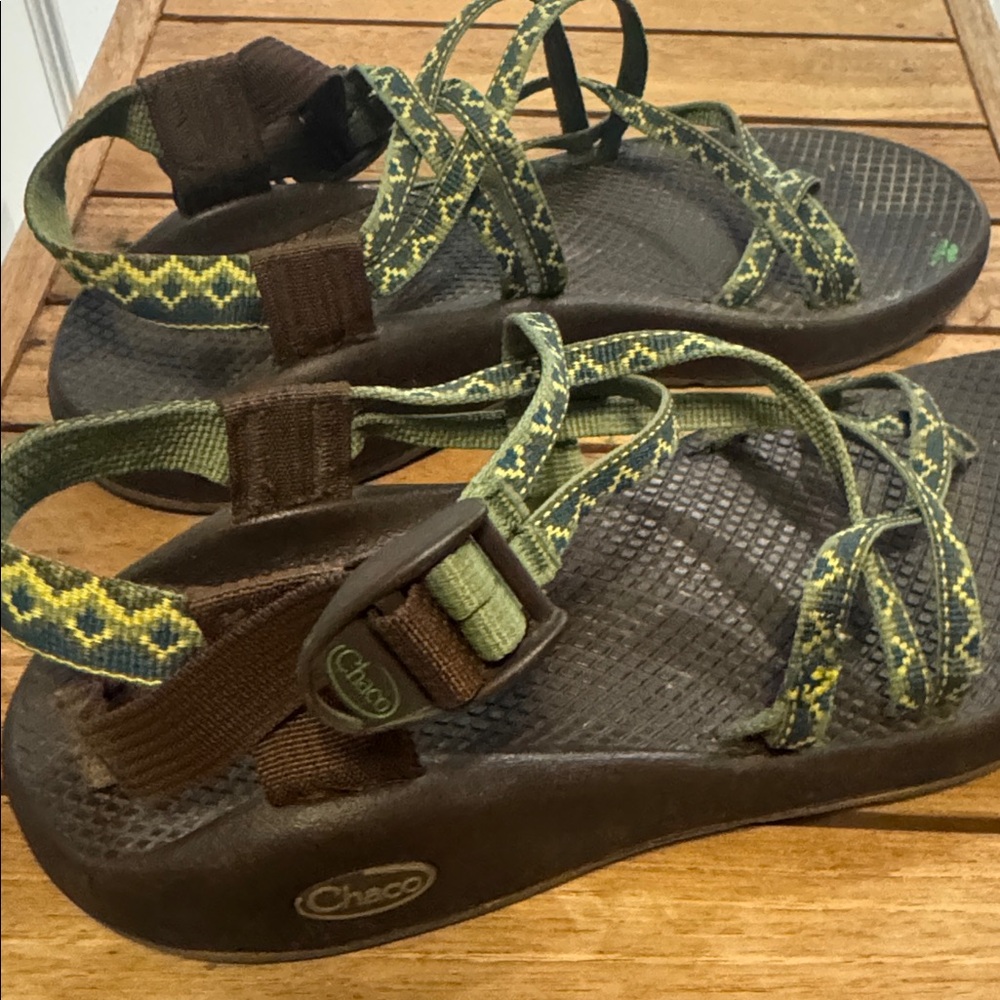 Chaco Olive and Earth Tone Sandals